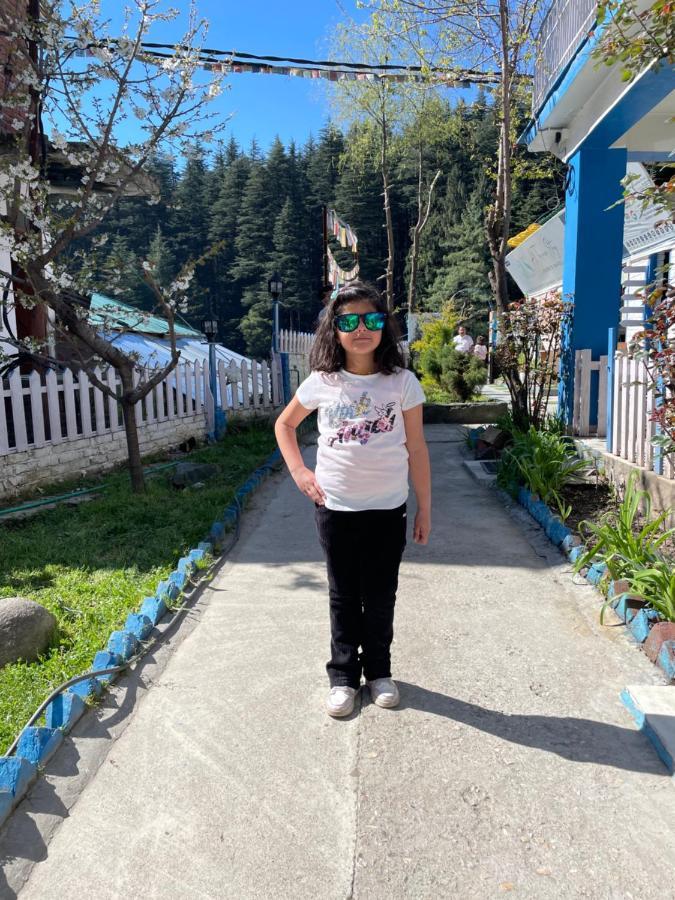 Ats -Manali Manali (Himachal Pradesh) Exterior photo